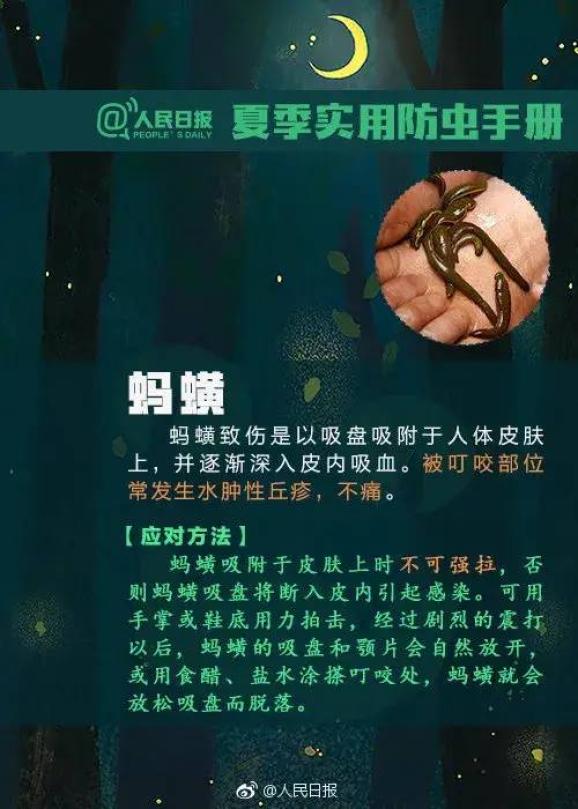 紅火蟻席捲12個省份,有人被咬休克!韶關全市有分佈