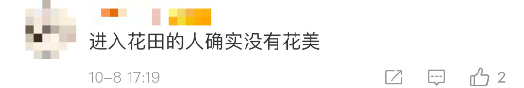 热点|“进入花田你没有花美！”景区一段硬核喊话爆火，网友：你大妈还是你大妈