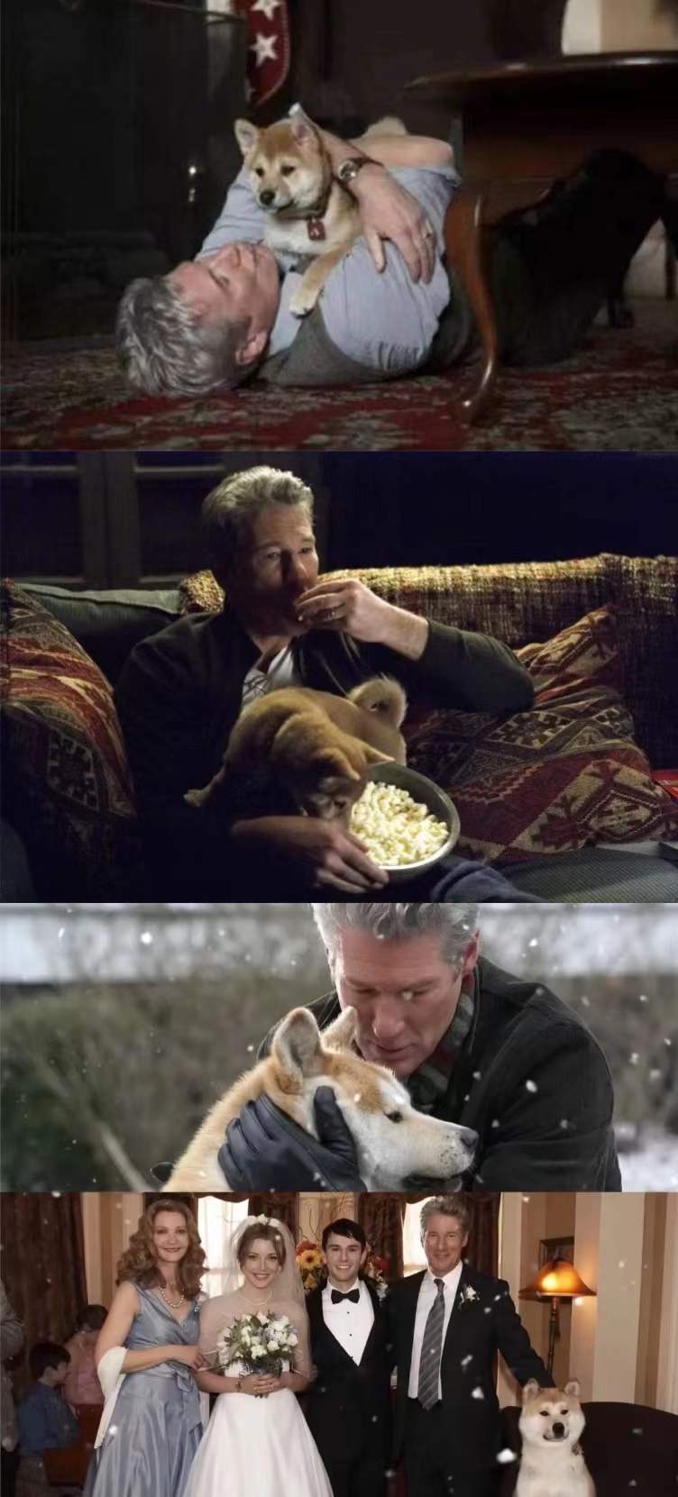《忠犬八公》它只是你的一条狗,但你却是它的一生!