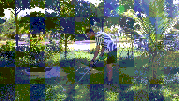 南沙永暑岛实况图曝光,碧海银滩,飞鸟成群,绿色生态之城初建成