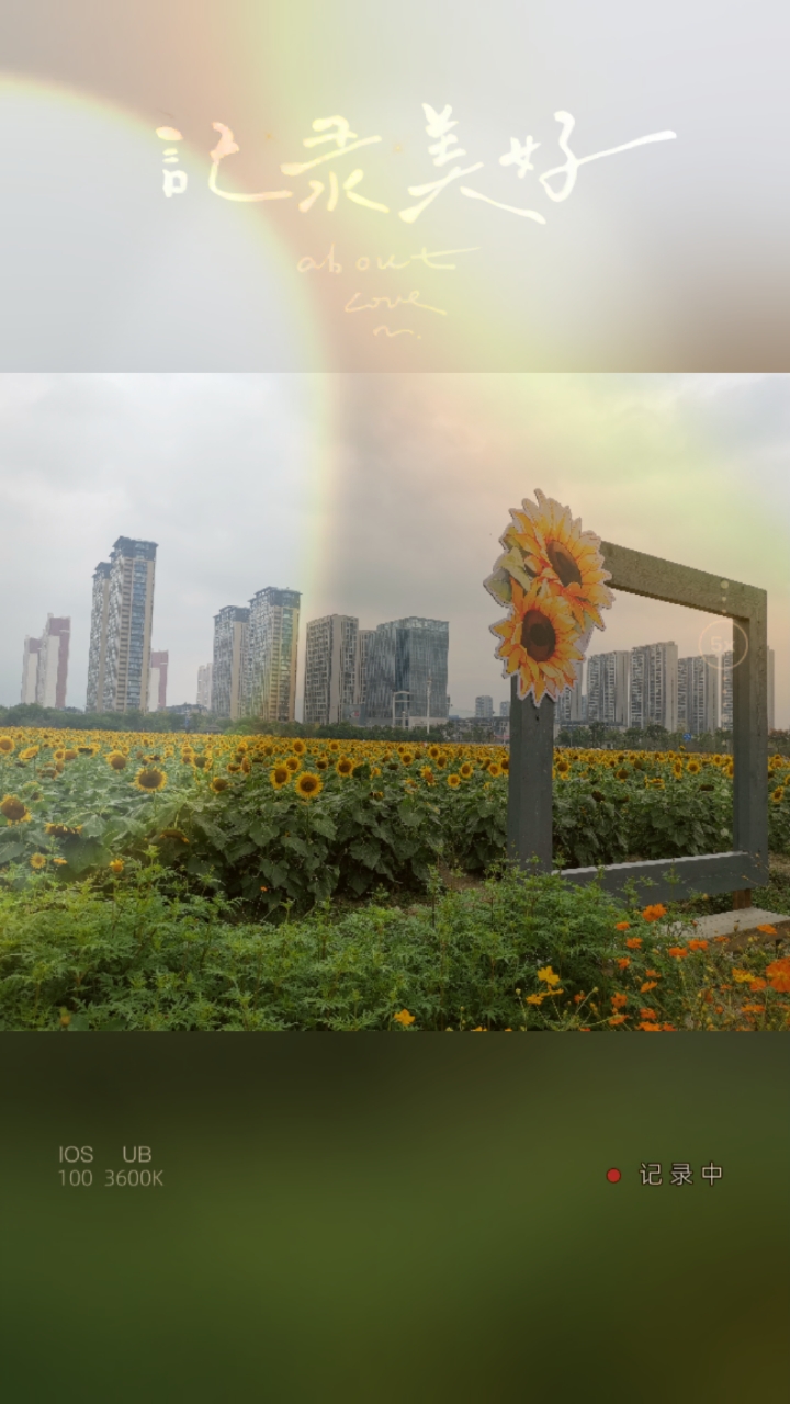 平阳县昆阳镇市民公园美景