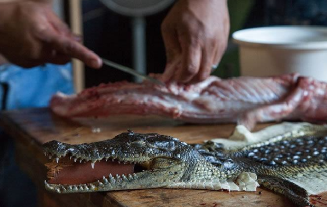 看完鳄鱼剥皮过程,你还想买奢侈品吗?镜头跟拍全过程