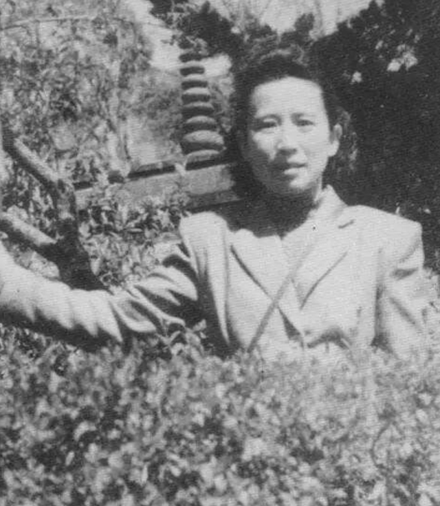 1966年,老舍跳湖自尽,妻子胡挈青悲痛欲绝:都是赵清阁害的你