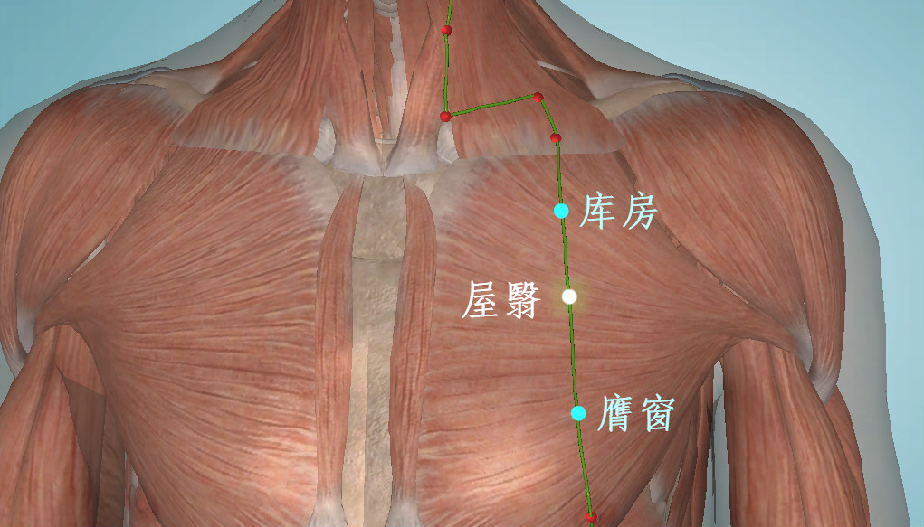 屋翳:胃经经气在此,形成天部的气体摒障