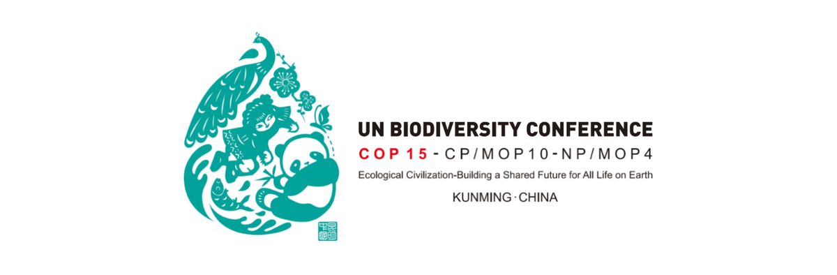 倒计时5天-中国绿发会代表团正在积极筹备中|cop15