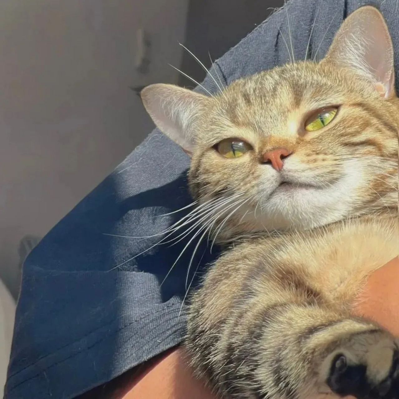 "又饿了,果然才华不能当饭吃."#宝藏作者创作企划2