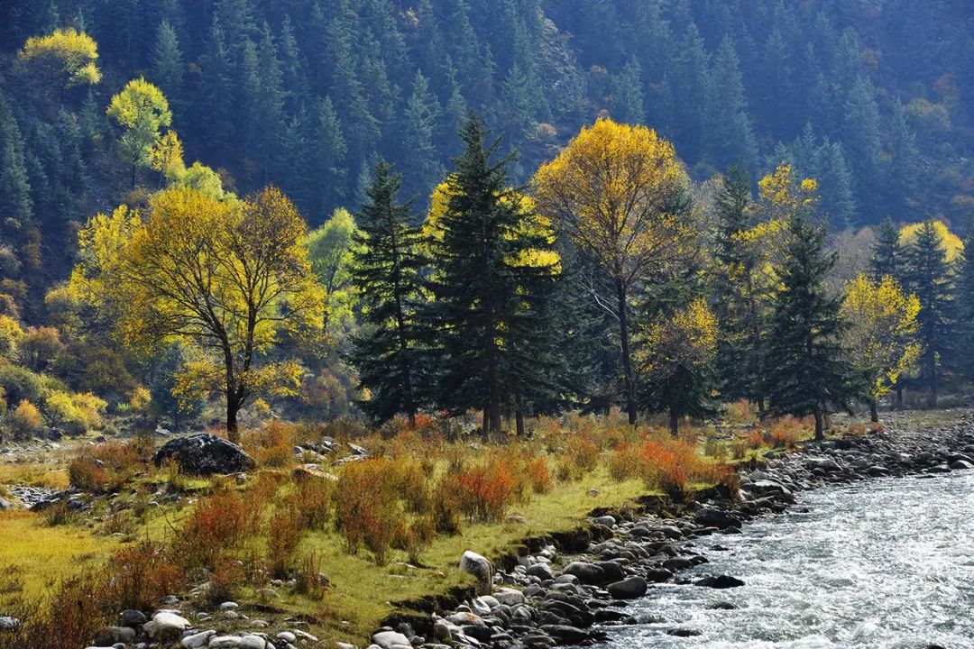 天祝藏乡游哈溪记