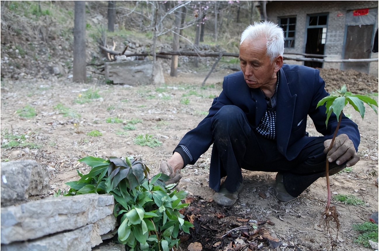 92岁老人感慨人老后子女只要有父母对他们一半的好就是幸运