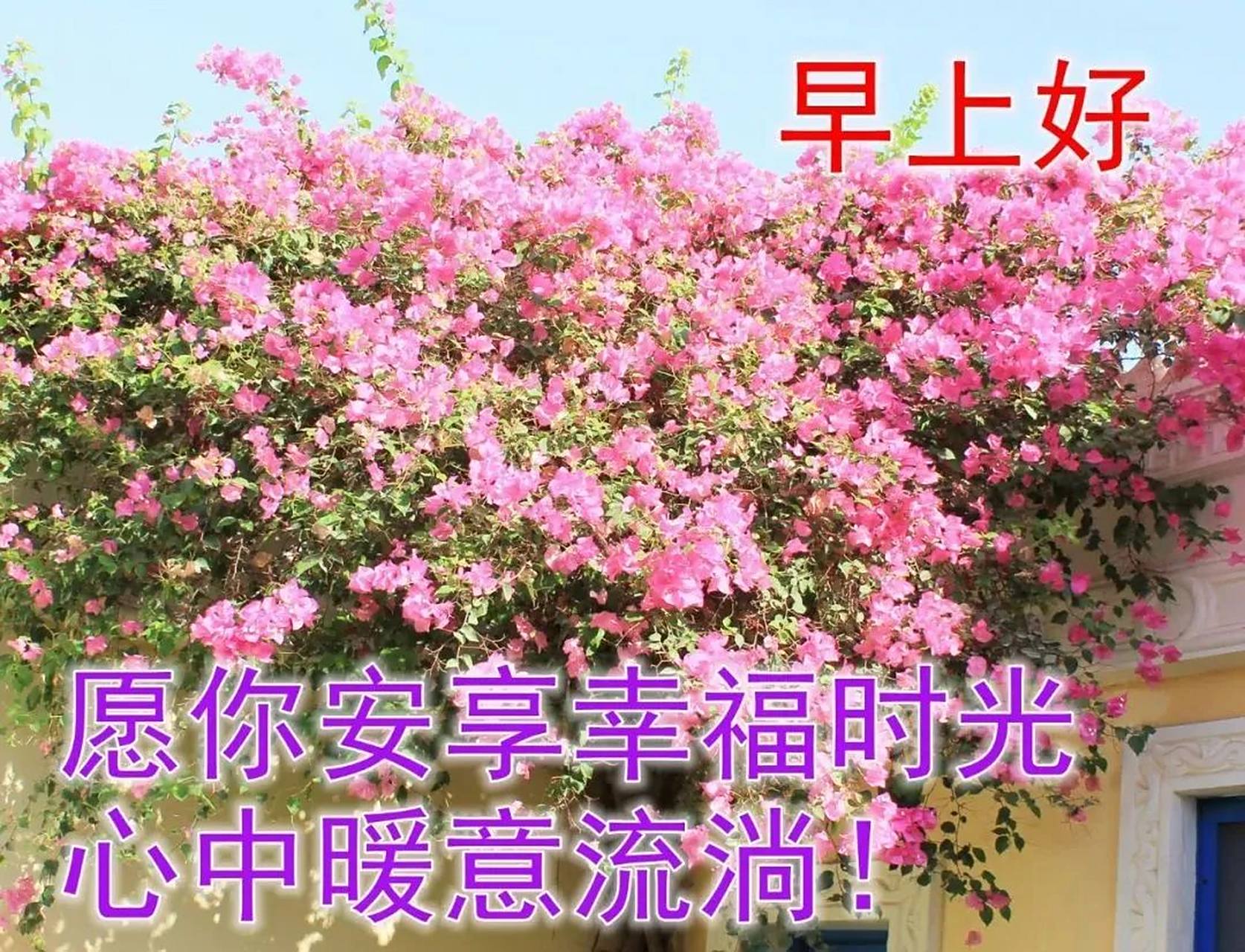 初夏最漂亮的早上好问候动态图片 最新最美早安问候语大全 1.