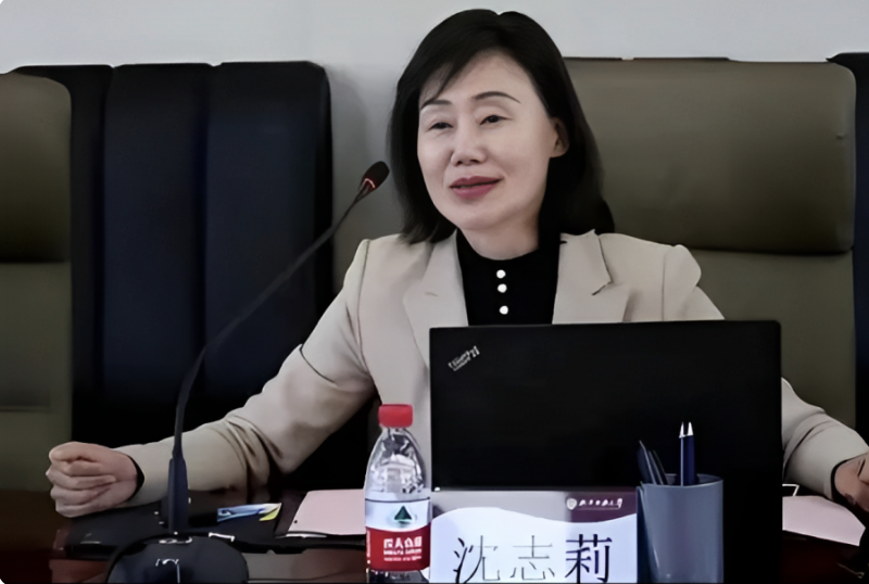 回顾:北京女虎沈志莉,将不法收入全拿来整容,60岁被硬整成20岁