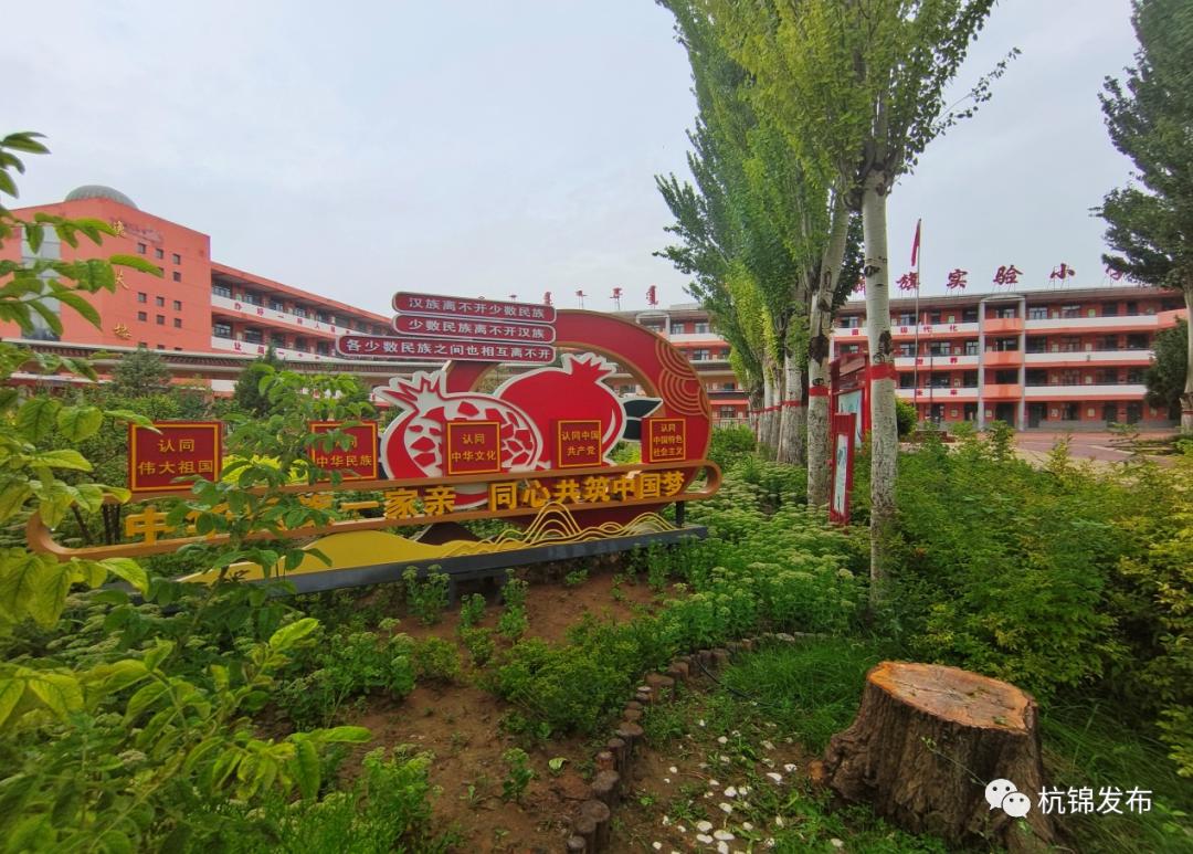 文明校园 | 杭锦旗实验小学用文明描绘校园底色