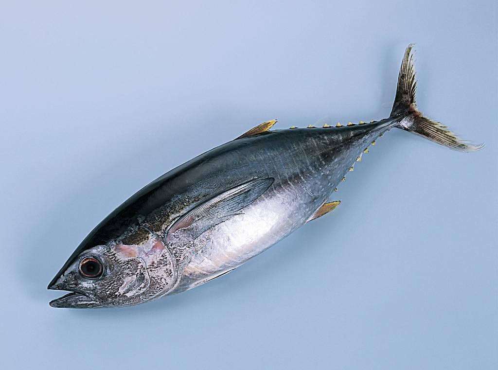 日本老年人多,心脑血管发病率却很低,这4点原因或值得深思