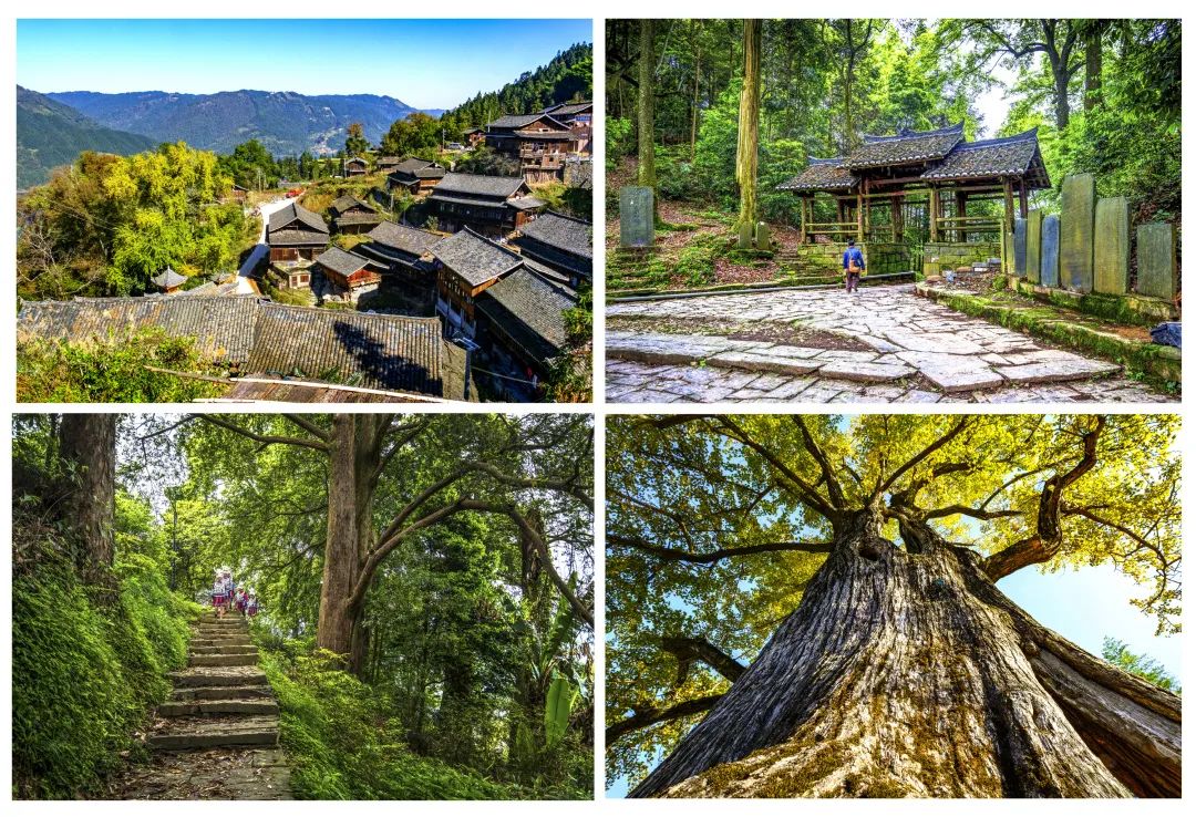 分享 | 相约黔东南州锦屏县文斗苗寨的秋天