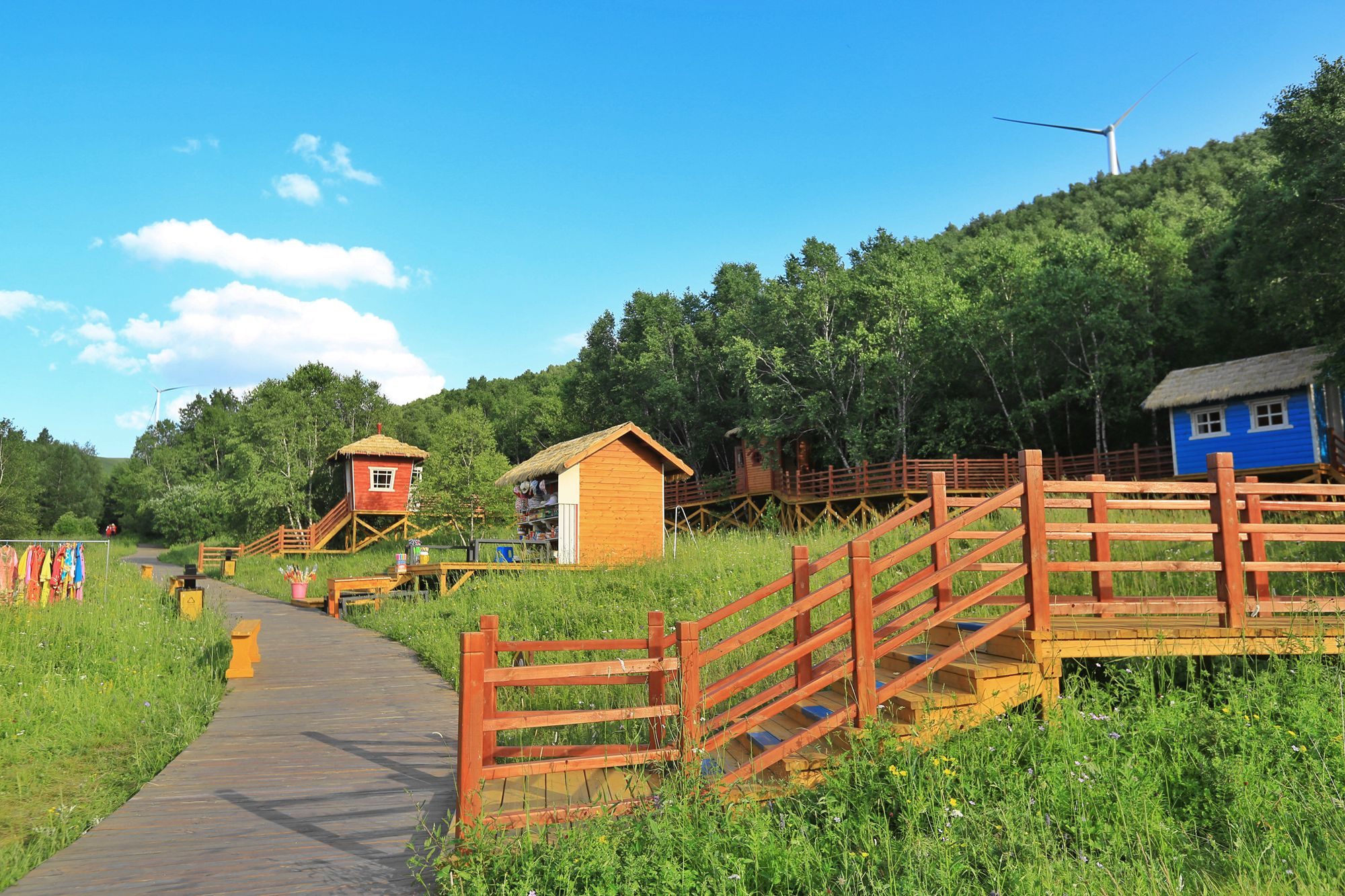 承德坝上神仙谷七彩森林,休闲避暑采蘑菇,体验浪漫的童话世界
