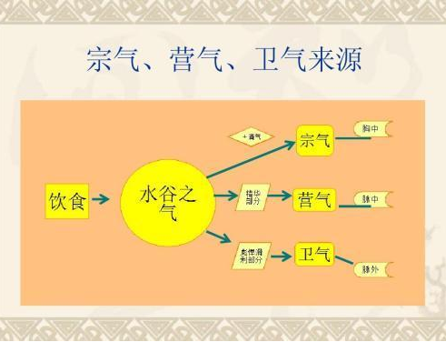 中医解惑 关于人体之气的分类与含义问题