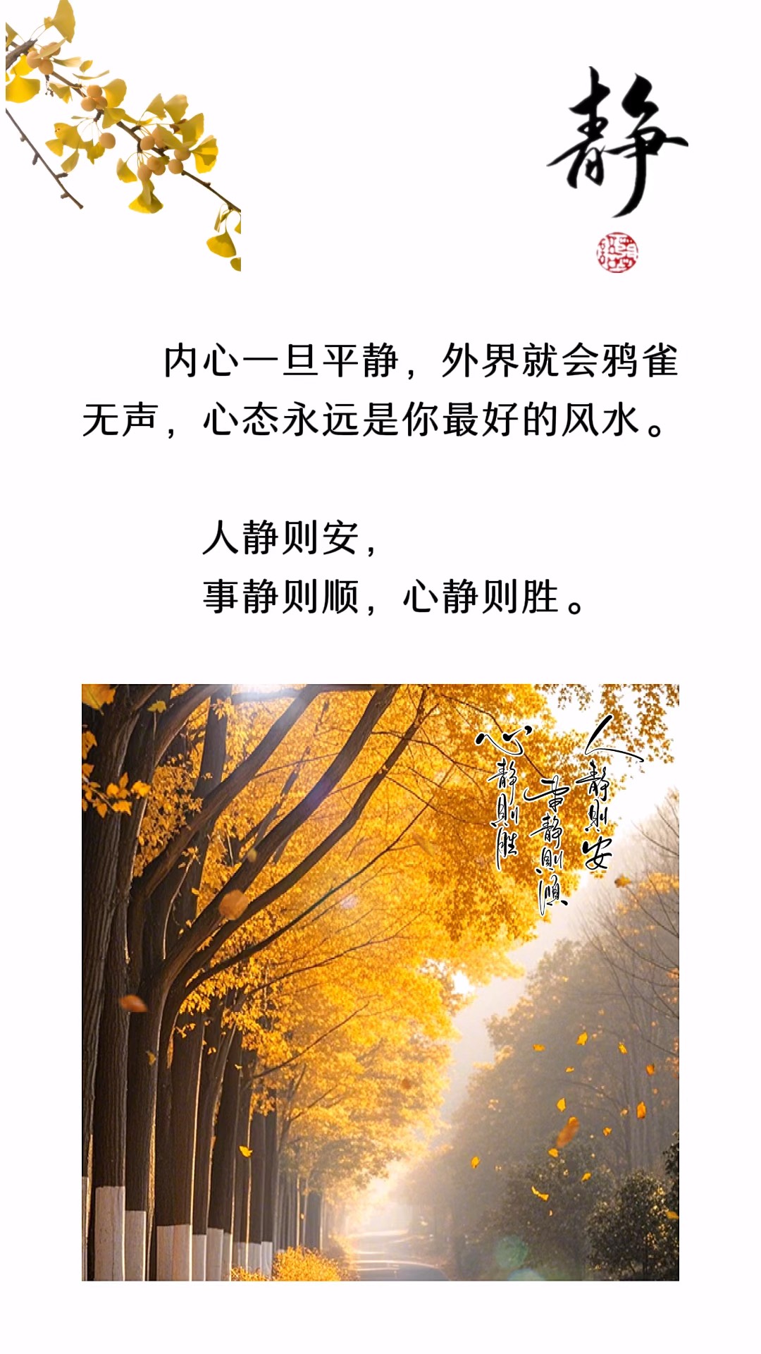 内心一旦平静,外界就会鸦雀无声,心态永远是你最好的风水.