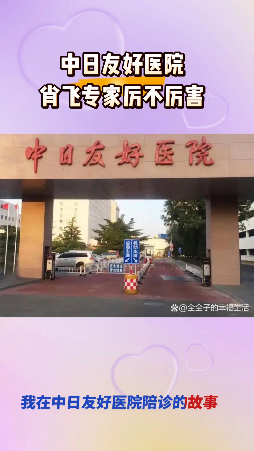 包含中日友好医院代问诊加陪诊挂号-住院登记咨询的词条