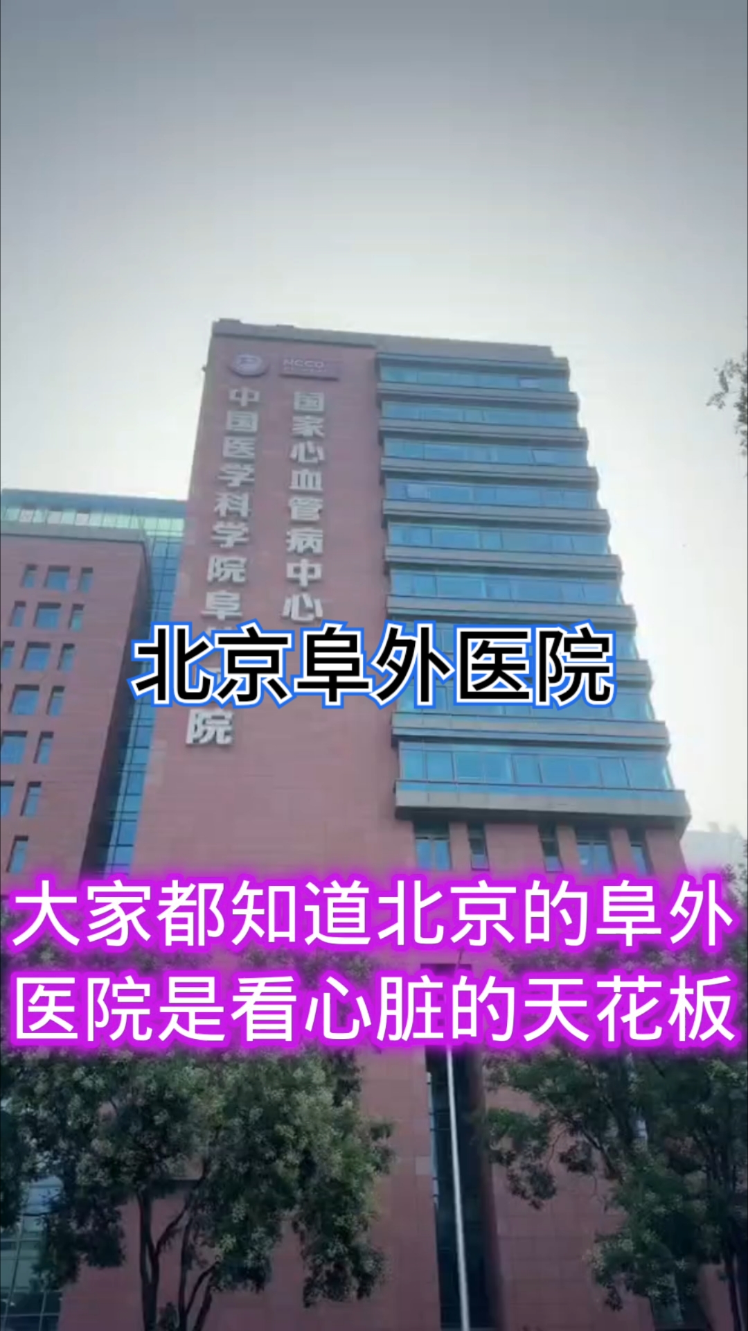 北京阜外醫院、北京大學第六醫院、協助就診，就診引導號販子電話，去北京看病指南必知的簡單介紹