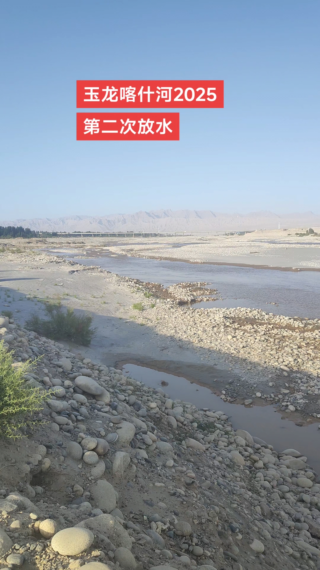 玉龙喀什河时隔5天第二次放水,上次水停后有的人在上游捡好几块