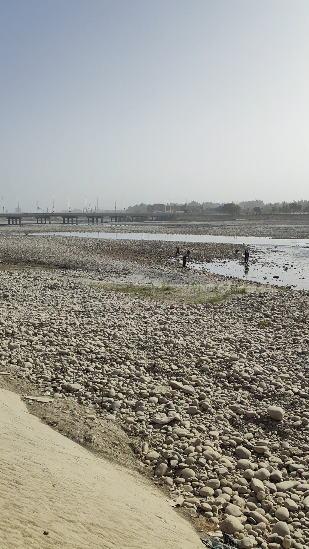 玉龙喀什河一桥上游捡玉石了