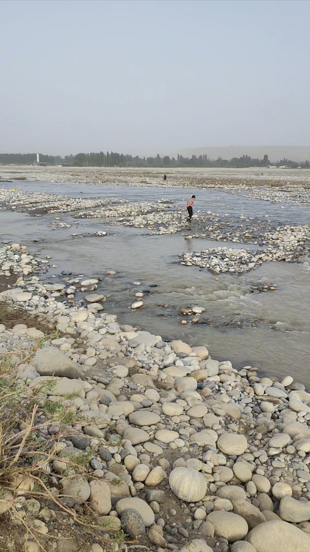 早起捡玉发现河水下降了,去晚了感觉错过了几块玉石