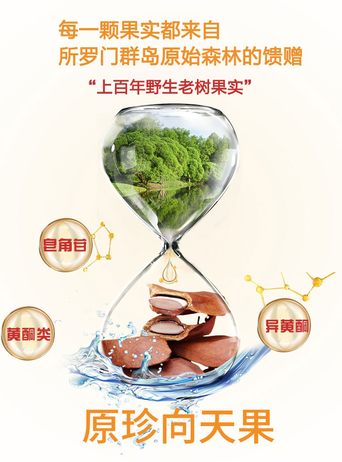 向天果的功效与作用禁忌_向天果禁忌人群与注意事项