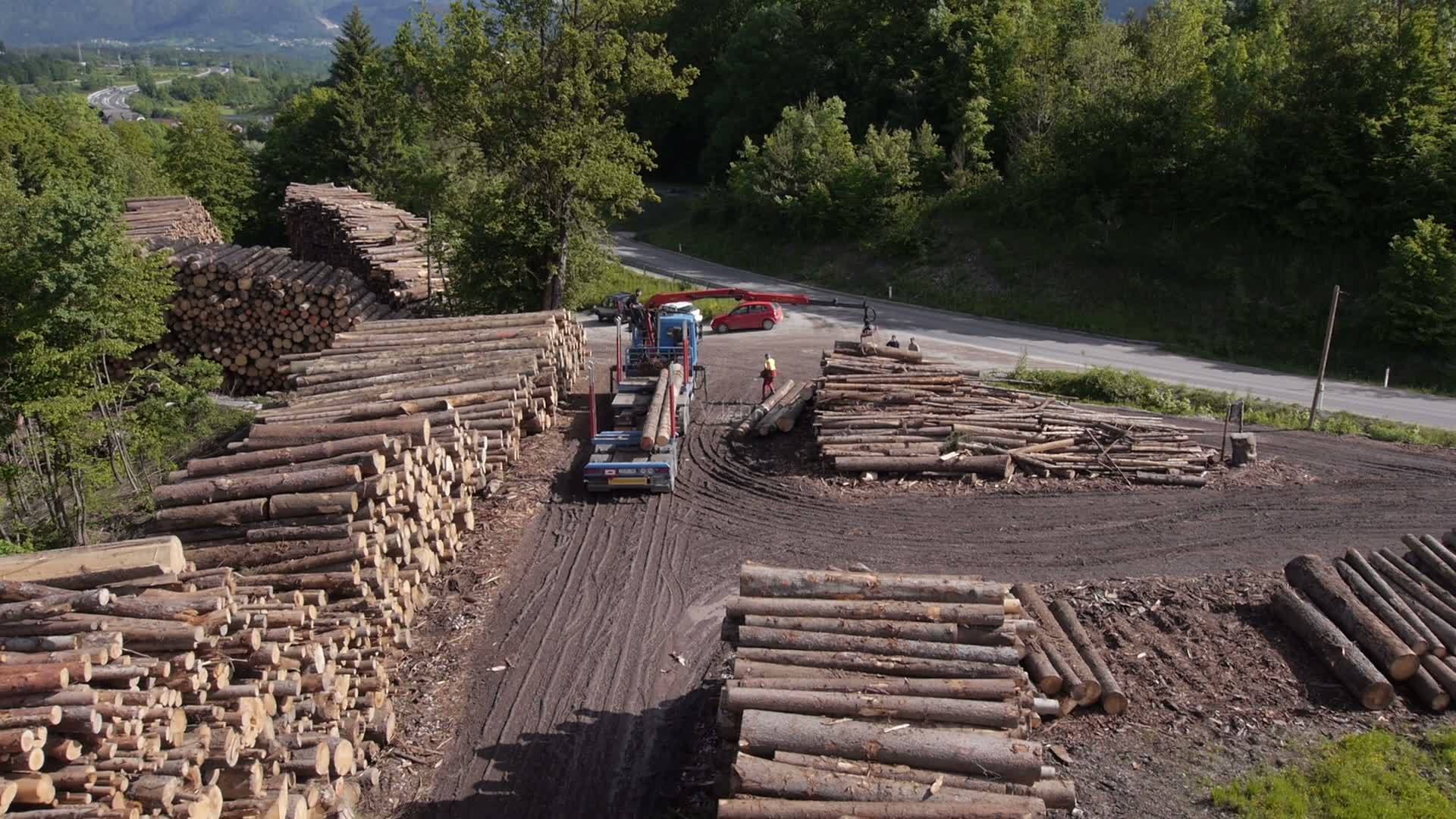 1995年罪犯携子逃入秦岭野外生存15年因进矿打工没身份证落网