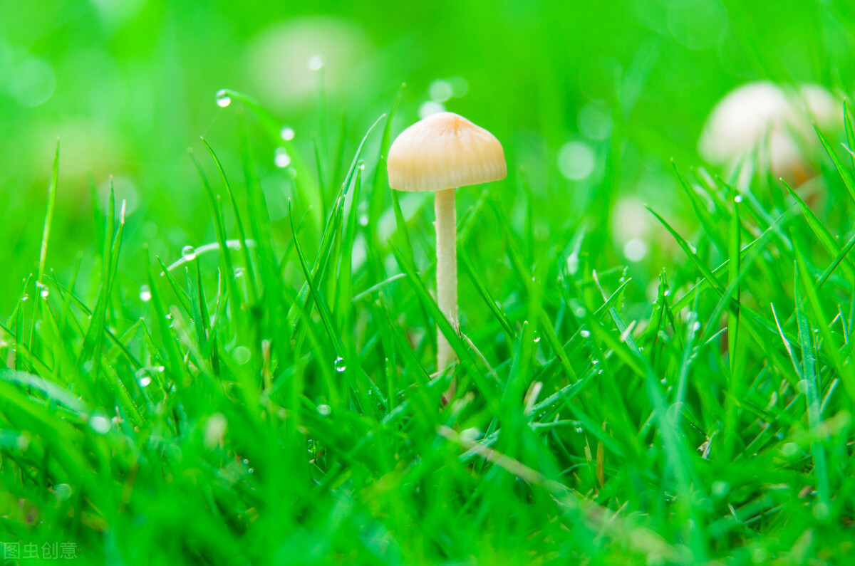 异性之间,关系再好,也不能这样聊天