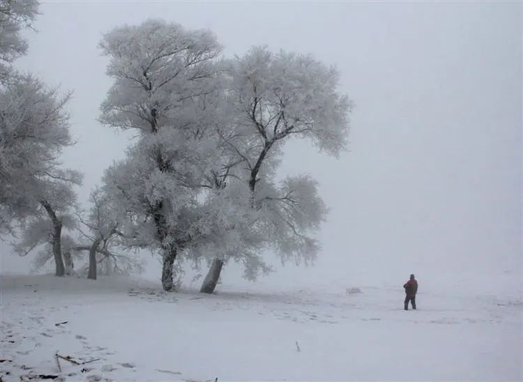 寒冬腊月雪满天,东北雾凇雪景分外绕