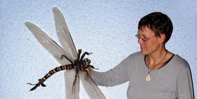空中捕猎王者蜻蜓,为何被科学家质疑不是地球生物?答案让人沉默