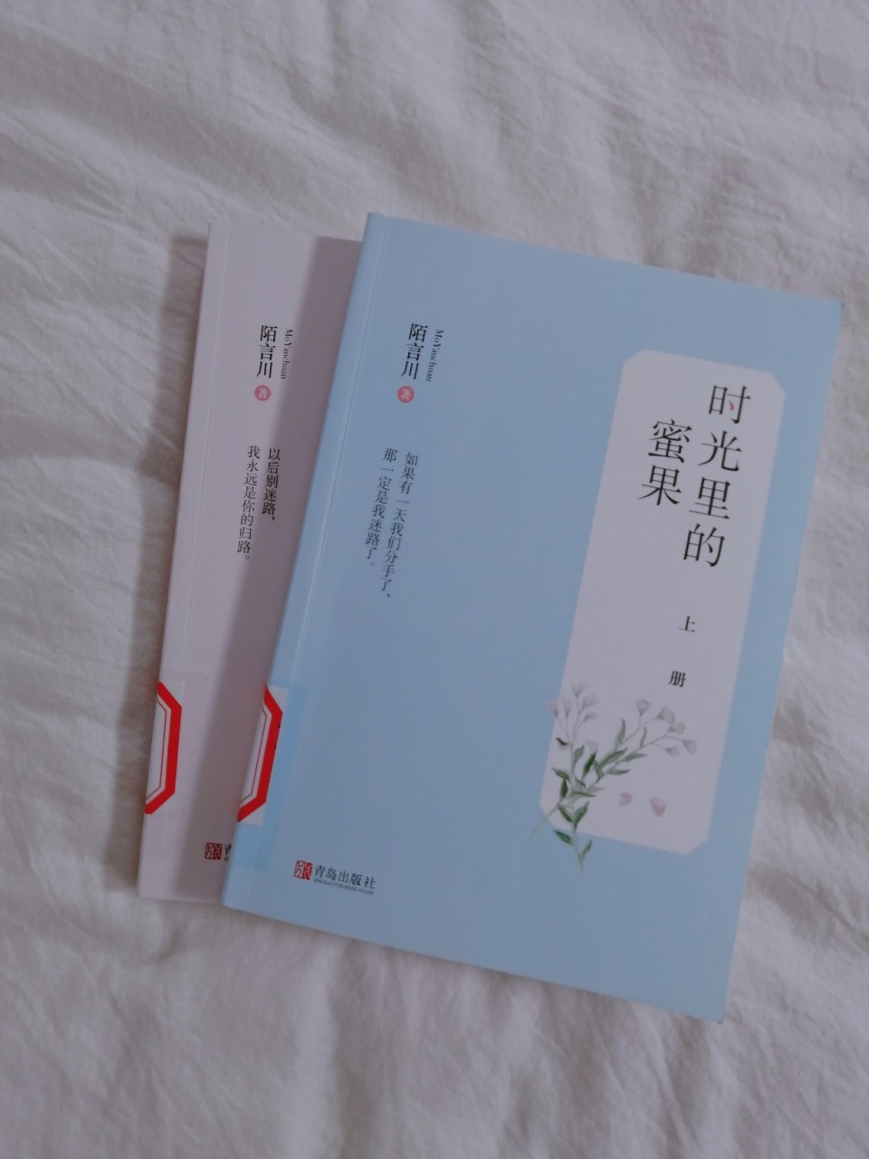 《时光里的蜜果》 丁蜜×陆时勉 如果有一天我们分手了  那一定是我