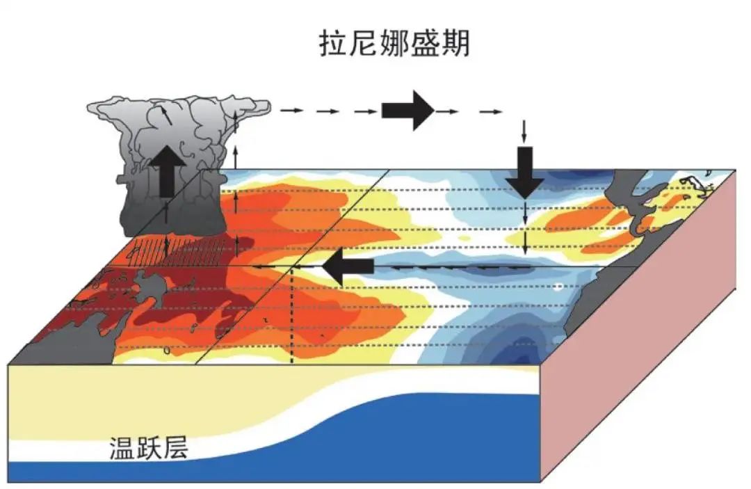 "拉尼娜"来了,今年冬天注意防寒保暖!