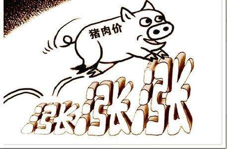 10 月初以来猪肉价格持续反弹,猪价上涨原因可能有哪些?