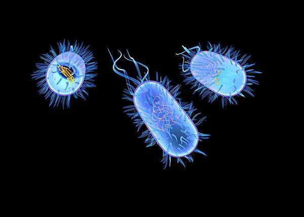 无惧春季细菌滋生,无机涂料长效增"墙"健康