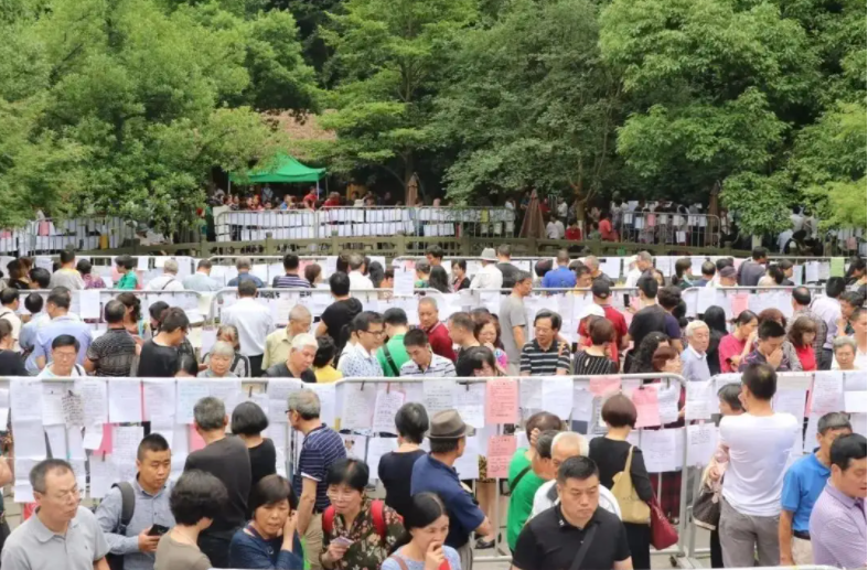 王思聪面相不行,黄子韬当上门女婿,现在的相亲门槛高到离谱