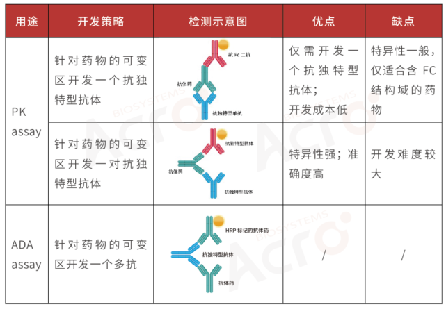 acro百普赛斯抗独特型抗体开发策略,抢占pk/ada assay先机
