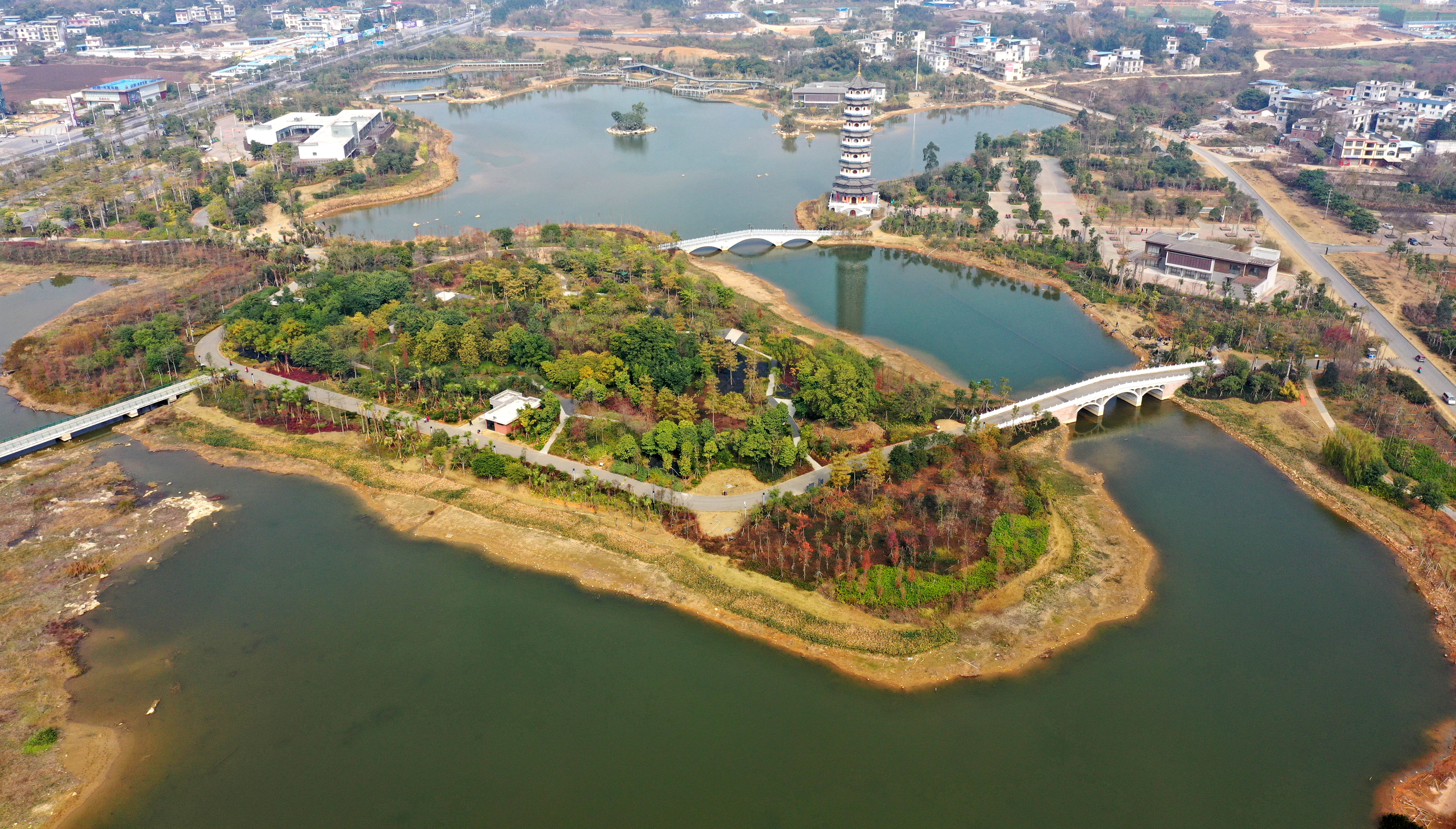 广西柳江:昔日水塘变身生态公园(4)