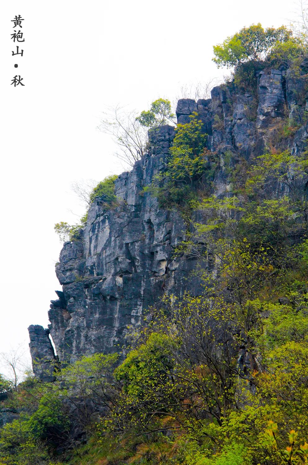 "国字号"名片!通城县黄袍山入选全国森林康养基地建设试点