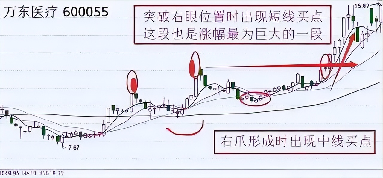 金蛤蟆形态能涨三倍图片