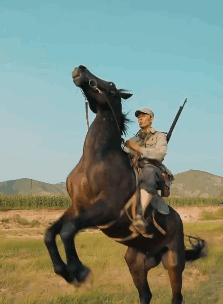 在看一些古装片中一些英雄豪杰骑马狂奔时,有的观众会幻想自己也成为