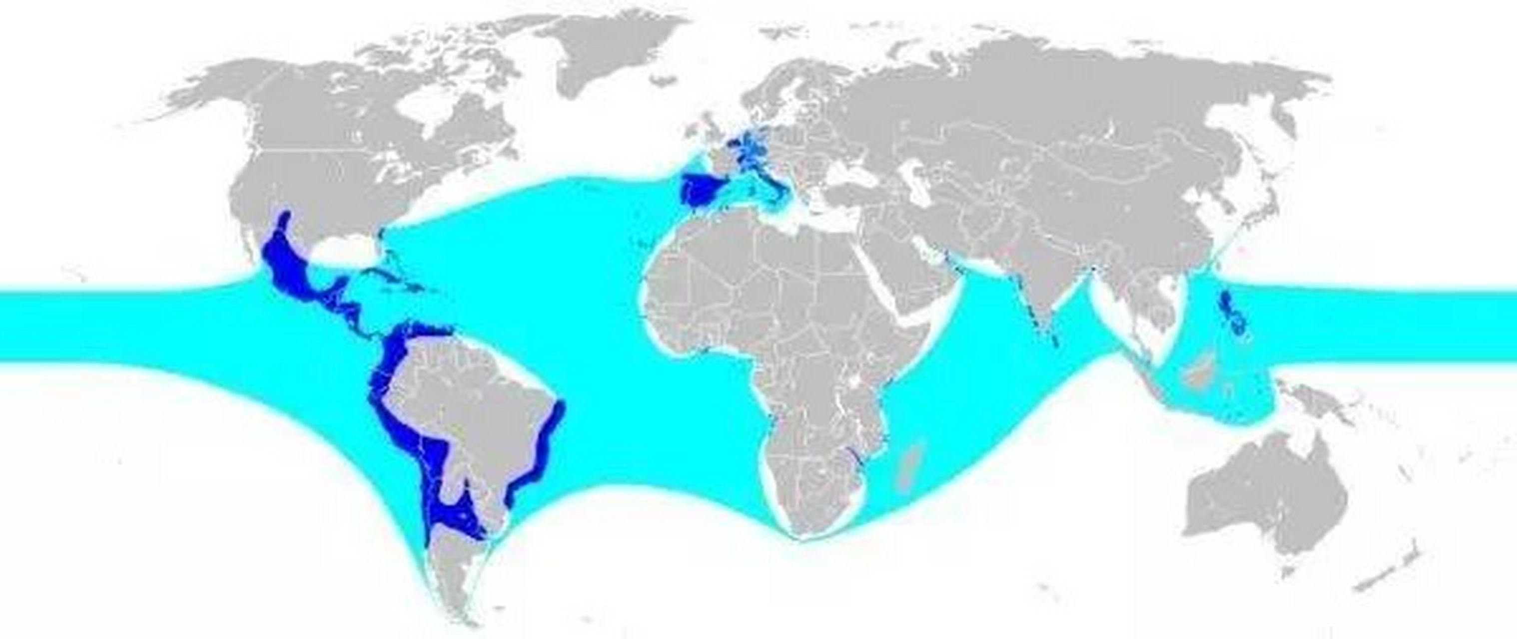 西班牙帝国是从16世纪开始兴起的一个全球性帝国,其极盛时期控制了