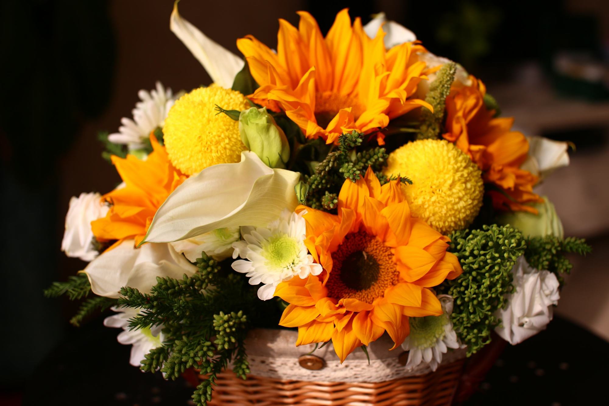 心理测试:一眼望去你觉得哪朵花最美?测测你是什么性格的人!