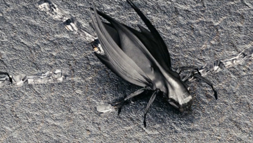 盘点科幻片中的6种武器,人类能实现几个?第6种或永不可能(下)