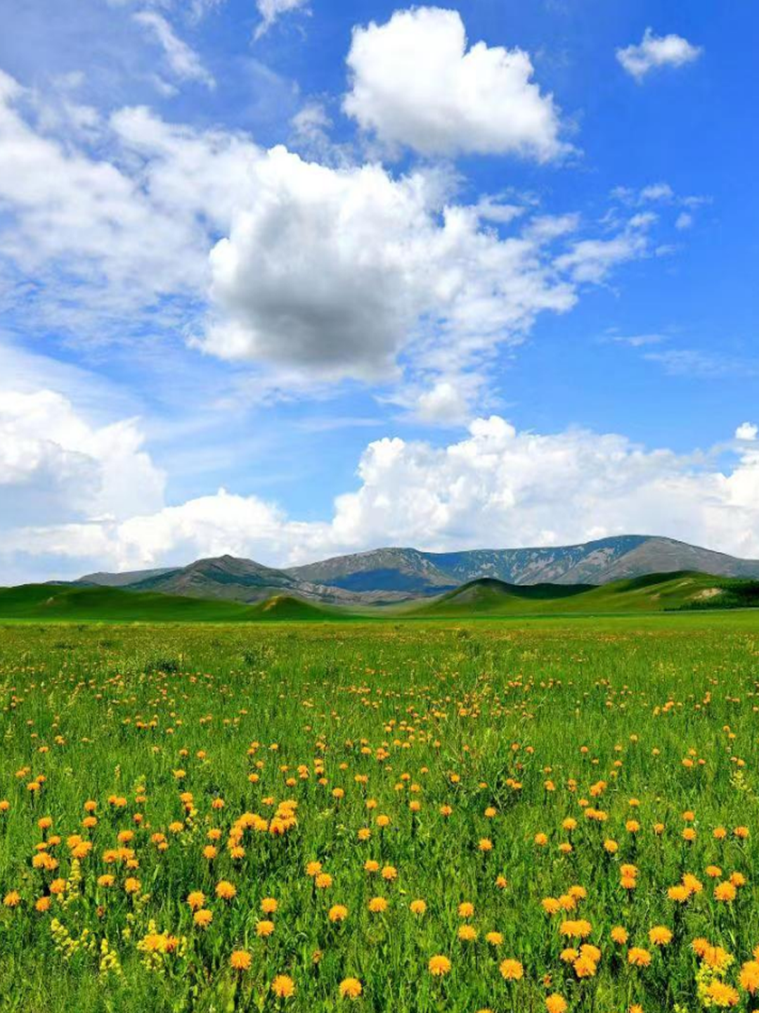 寻美中华|到了赤峰,一定来看看美丽草原赛罕乌拉