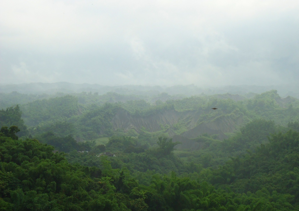 野人山有多恐怖?远征军老兵回忆:一旦倒下,很快就成为一堆白骨