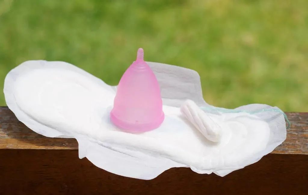 月经杯是怎么放入体内的?建议"新手"学习下