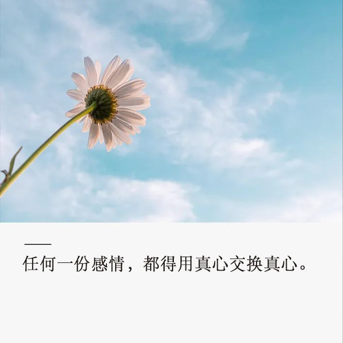 余生,惜我者,我惜之