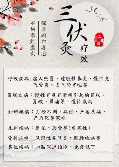 老吴艾国潮|三伏灸对低体温的帮助