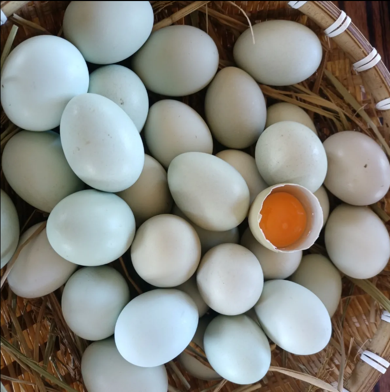 土鸡蛋农家散养跑山鸡蛋(多多~之莱耩园)谷物草鸡蛋