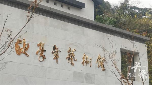 今天!内江欧豪年艺术馆正式开馆对公众开放